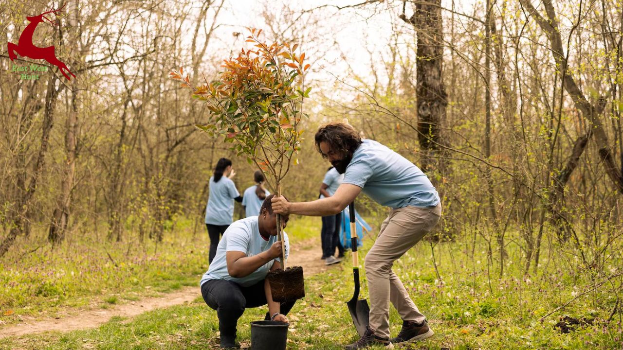 Conservation as Land Health: The Gospel According to Aldo Leopold