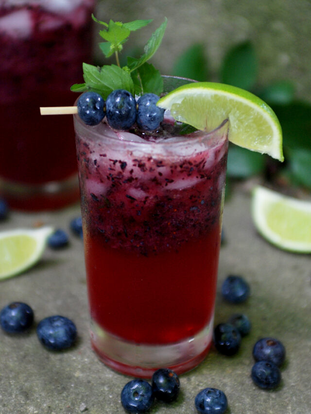 Blueberry Mojito Mocktail Recipe