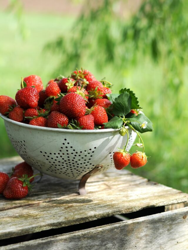 Gardner's Budget-Friendly Trick for Growing Strawberries